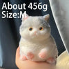 Kawaii Cat Silicone Stress Relief Squeeze Toy
