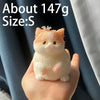 Kawaii Cat Silicone Stress Relief Squeeze Toy