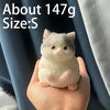 Kawaii Cat Silicone Stress Relief Squeeze Toy