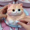 Kawaii Cat Silicone Stress Relief Squeeze Toy
